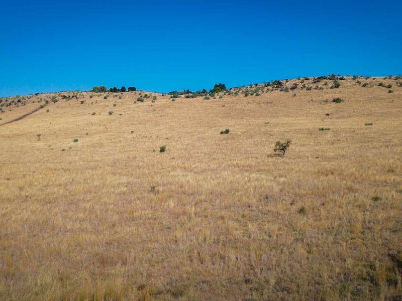 Prime Land for Sale – Endless Possibilities in the Cradle of Humankind! - Photo 9
