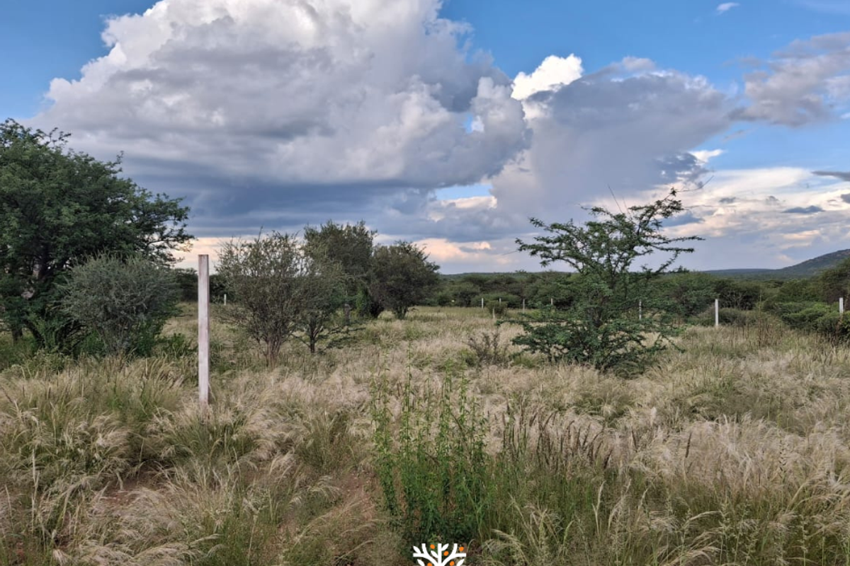 Camelthorn Estate | Vacant Erf with Approved Building Plans - Photo 5