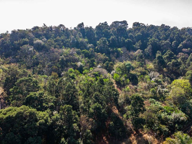 Prime Vacant Stand in Prestigious Estate with Spectacular Views - Photo 6