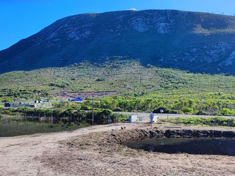 A scenic landscape view of the farm property featuring a dam, perimeter fencing, and a dirt access road against a mountain backdrop.