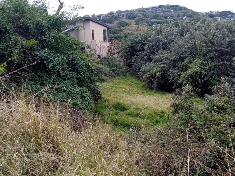 Vacant Land with Approved Architectural Masterpiece - Photo 2