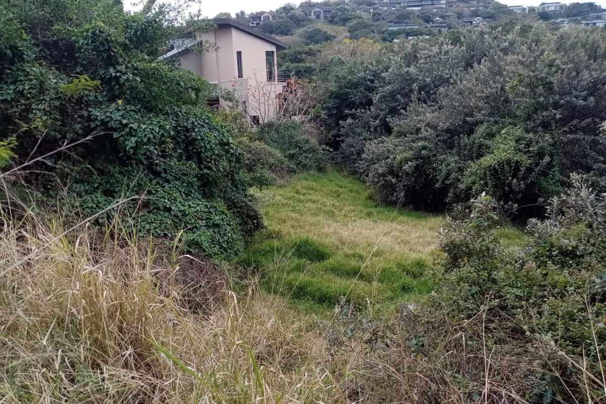A view of a sloped, grassed residential plot surrounded by dense native vegetation and trees, with neighboring properties visible in the background.