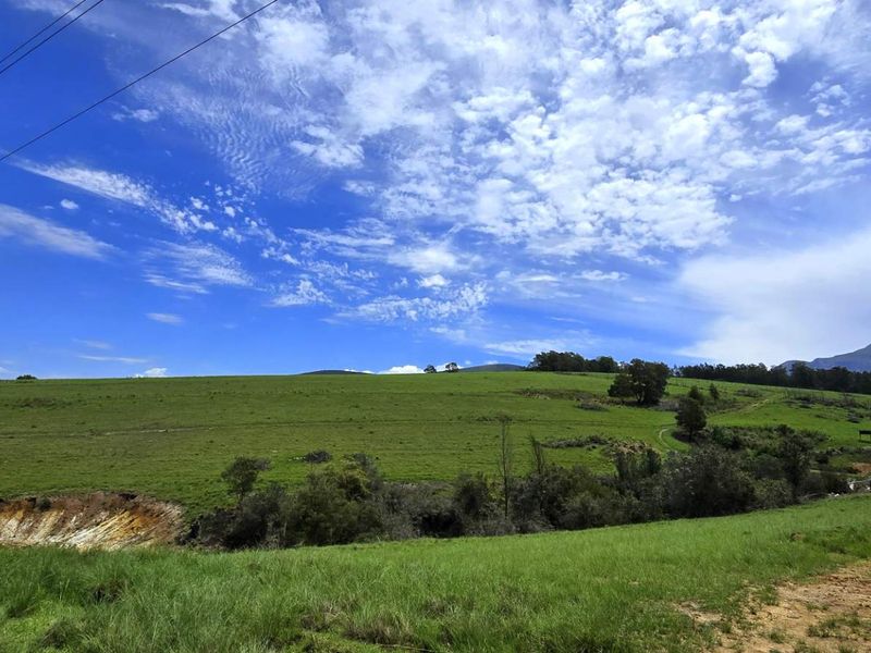 Spectacular Agricultural Opportunity in Ruiterbosch - Photo 5