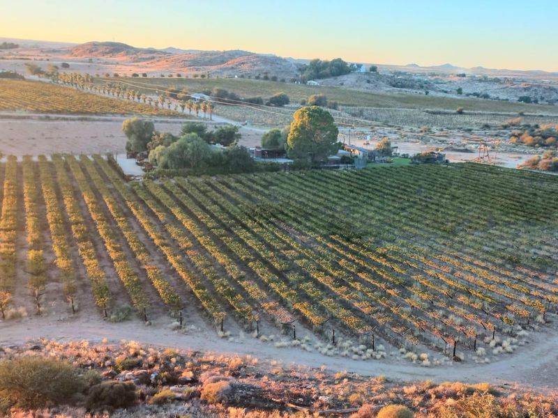 CALLING ALL THE ENTREPRENEURS! - Photo 2