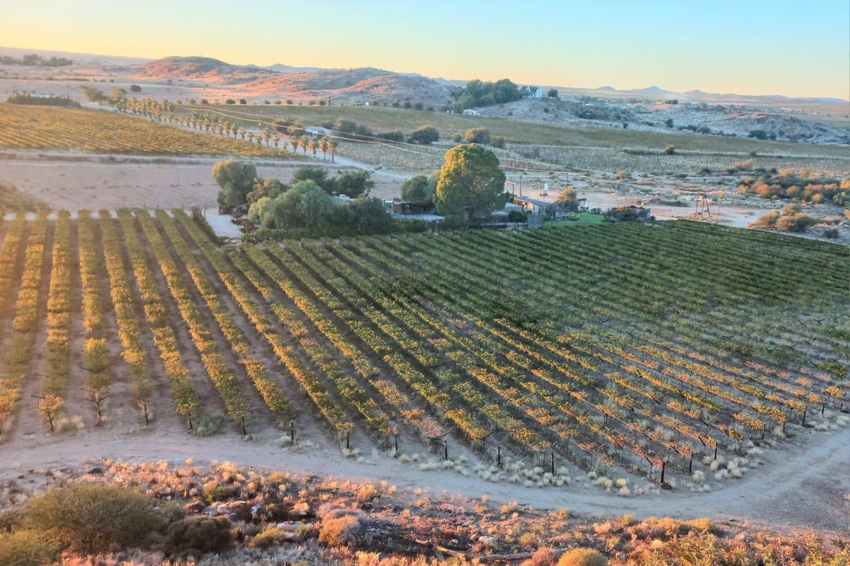 CALLING ALL THE ENTREPRENEURS! - Photo 2