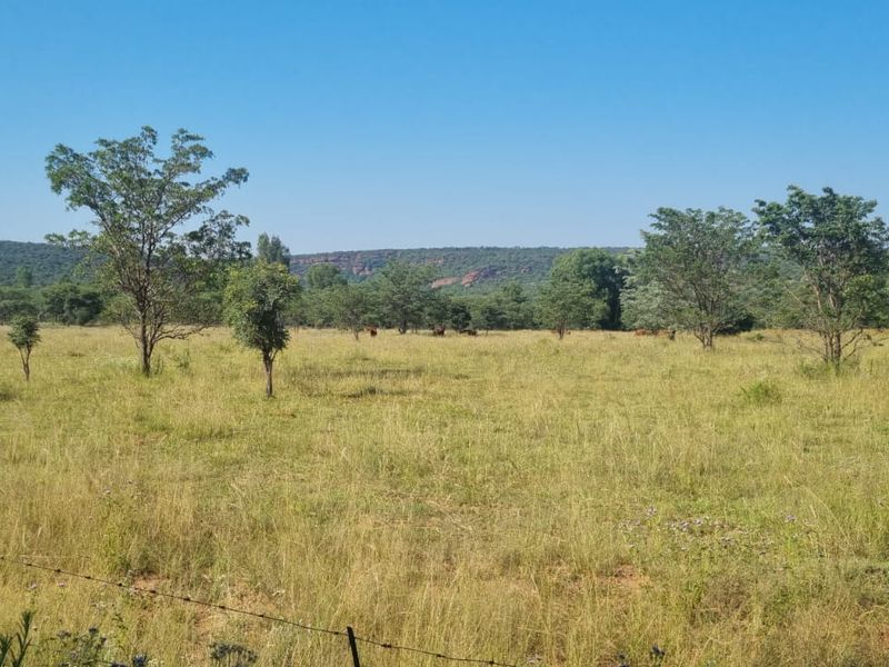 Vacant Land De Tweedespruit Cullinan - Photo 8