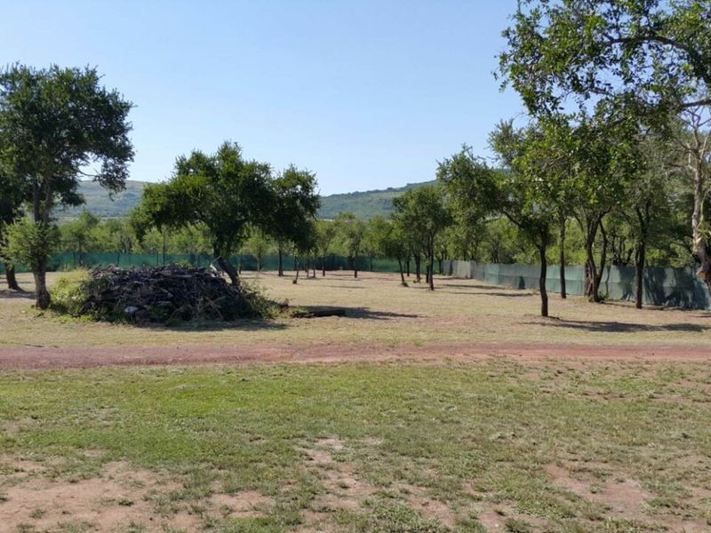 A Caravan Farm for sale!!! - Photo 5