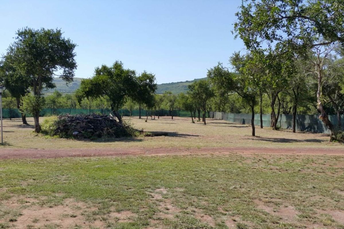 A Caravan Farm for sale!!! - Photo 5