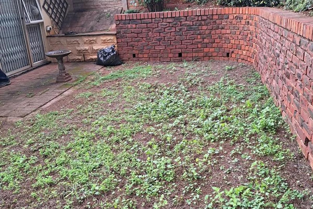 Rear garden area featuring a paved patio, brick retaining walls, and perimeter boundary walls, currently requiring landscaping and maintenance.