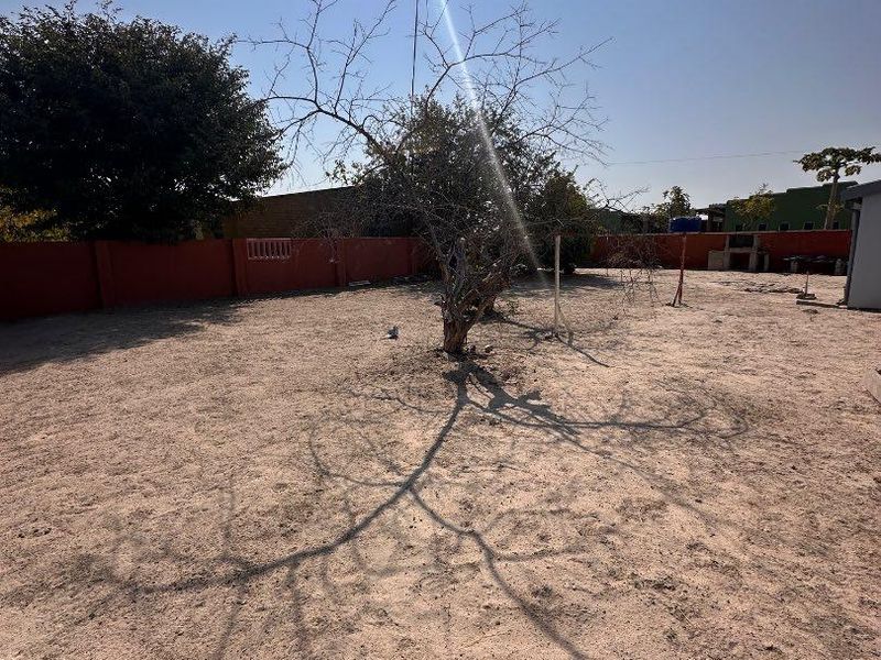 A spacious, undeveloped backyard featuring a perimeter wall, a built-in braai area, and a large central tree, offering significant potential for landscaping.