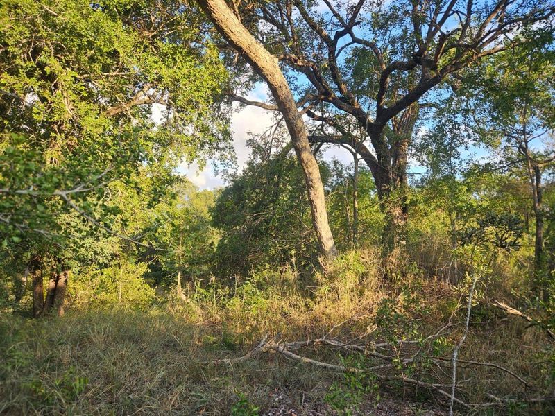 Vacant Land in MODITLO NATURE RESERVE - Photo 3