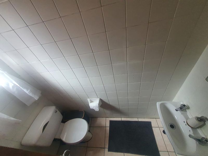 Homeward Bound... - Photo 3