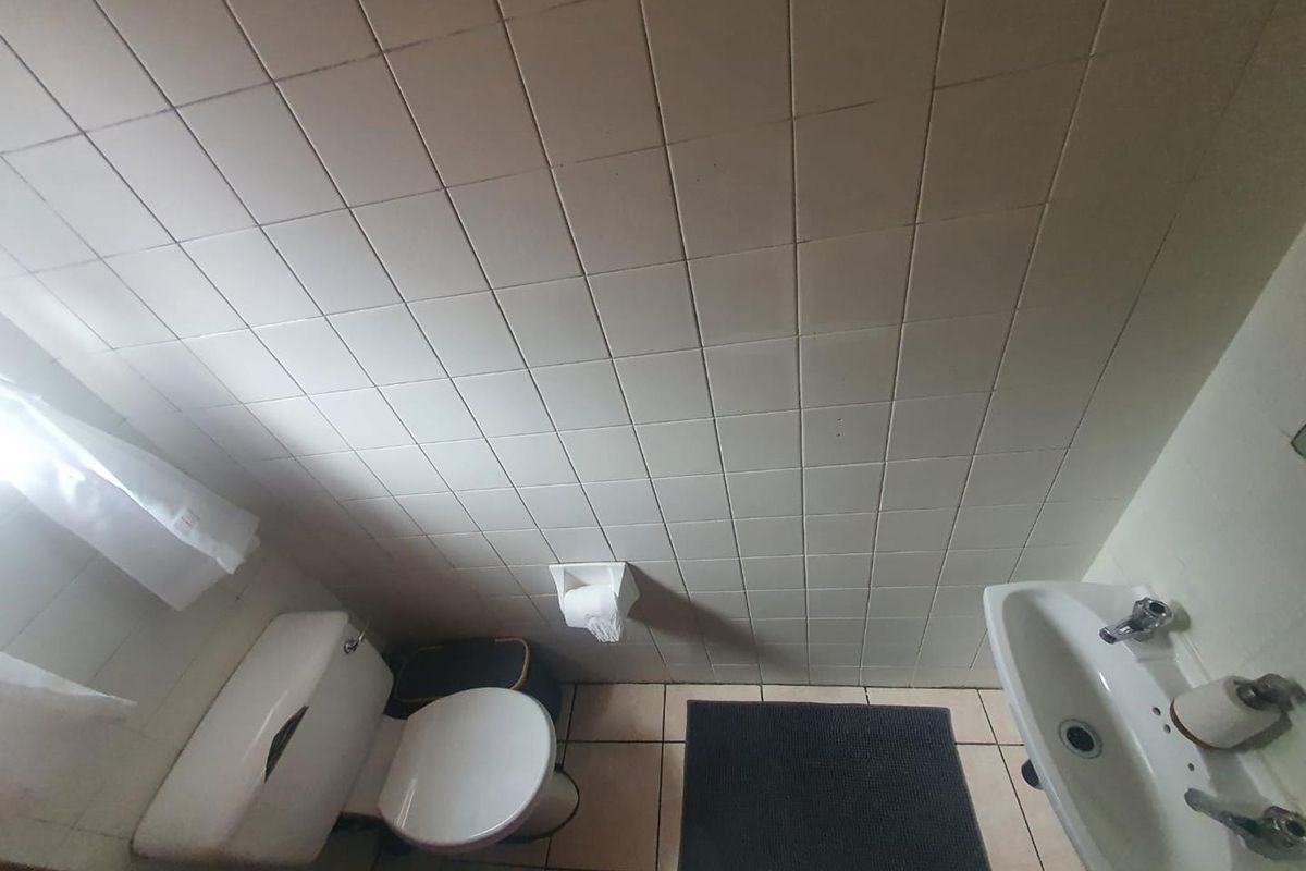 Homeward Bound... - Photo 3