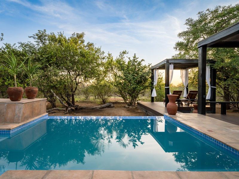 A serene outdoor pool area featuring a swimming pool with mosaic tile detailing, adjacent timber decking, and a shaded pergola structure.