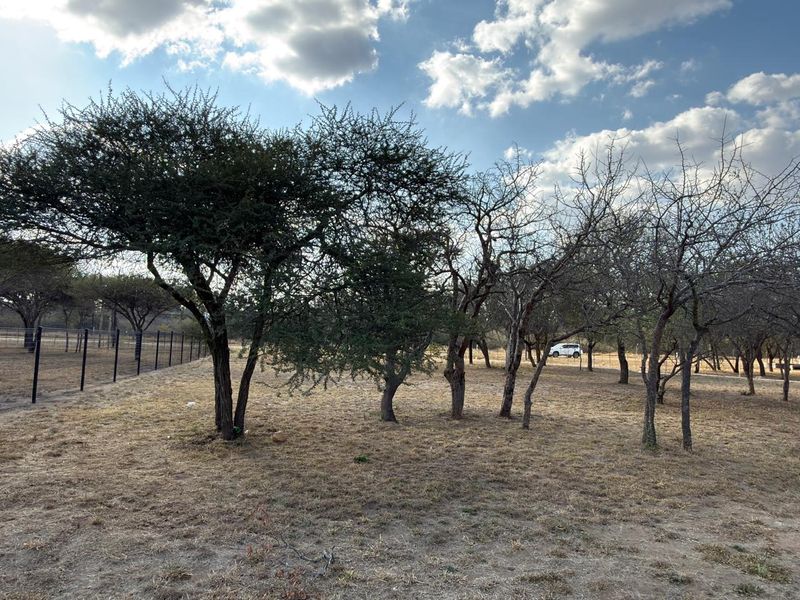 A view of a vacant commercial land plot featuring mature trees and perimeter wire mesh fencing.