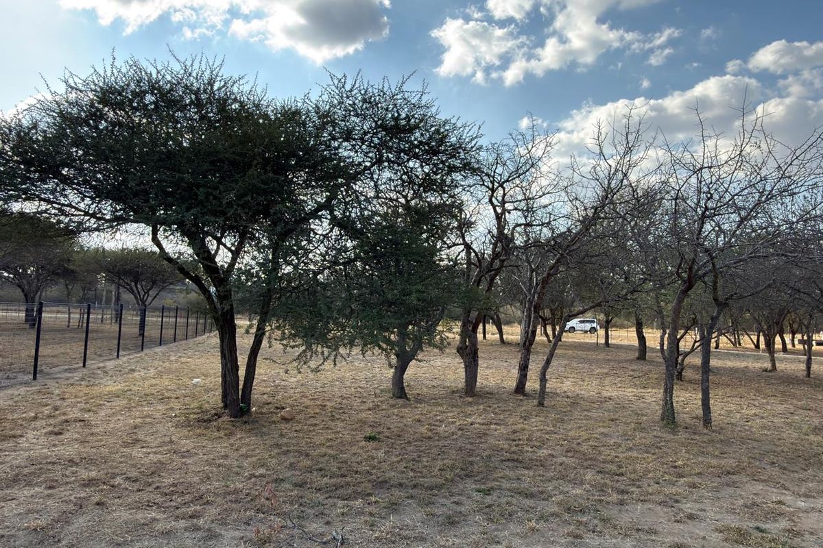 A view of a vacant commercial land plot featuring mature trees and perimeter wire mesh fencing.