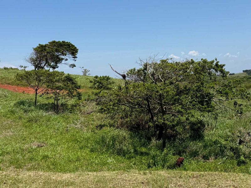 Ready... set... build your dream! - Photo 10