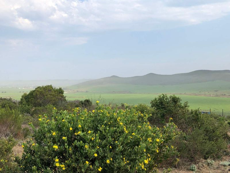 Nature Lover's Haven: Private Reserve & Wildlife at Your Doorstep - Photo 4