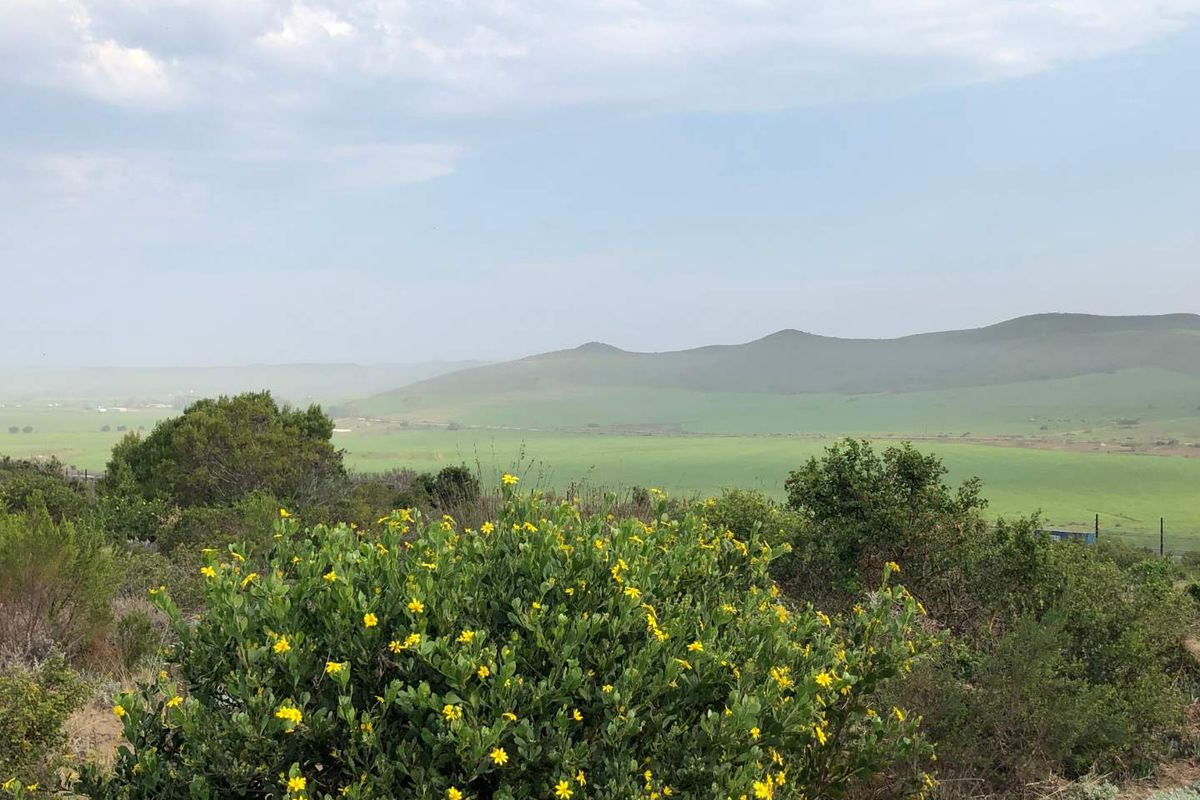 Nature Lover's Haven: Private Reserve & Wildlife at Your Doorstep - Photo 4