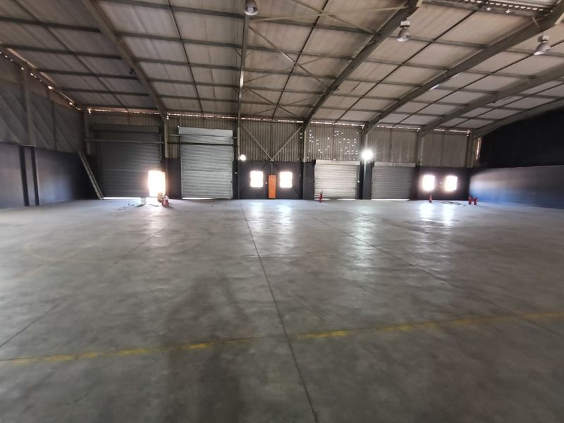 Spacious industrial warehouse featuring high ceilings, concrete flooring, and multiple roller shutter doors for efficient access and logistics operations.