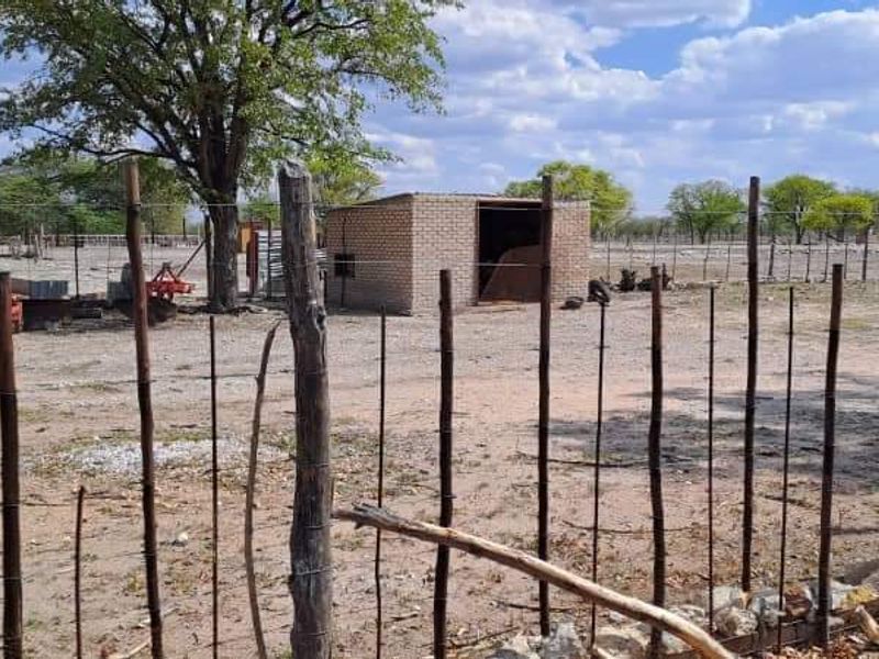 COMMERCIAL FARM FOR SALE IN TSUMEB DISTRICT - Photo 10