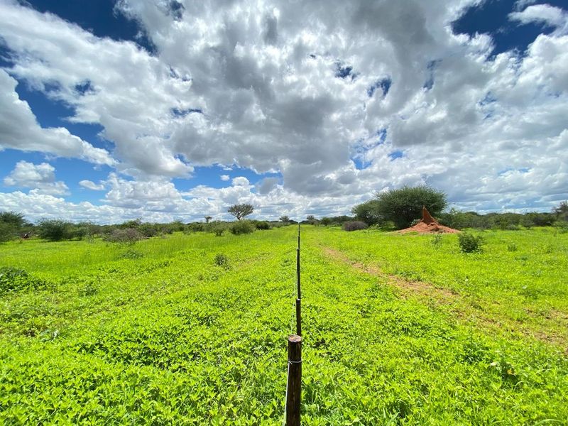 Just beyond the city limits, a different pace of life awaits. One where nature sets the schedule and every day begins with a little more breathing room. - Photo 1
