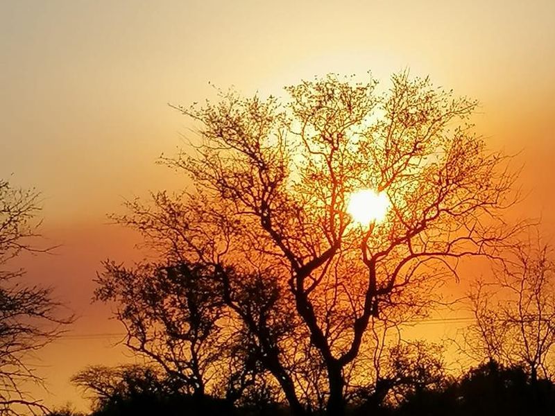 360 GAME FARM AND LODGE FOR SALE BETWEEN BRITS AND THABAZIMBI - Photo 5