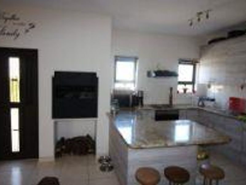 The early bird catches the worm - Photo 3