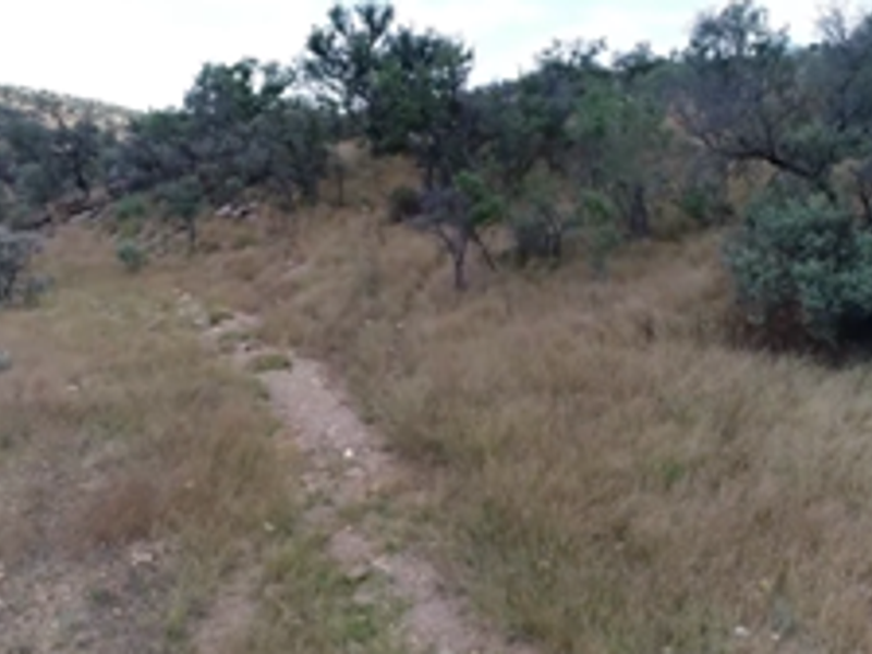 Plot For Sale Close to Windhoek - Photo 2