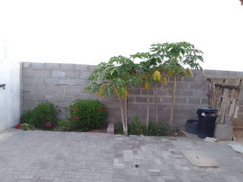 A rear outdoor area featuring a paved patio and a concrete block boundary wall with established papaya trees and shrubs.