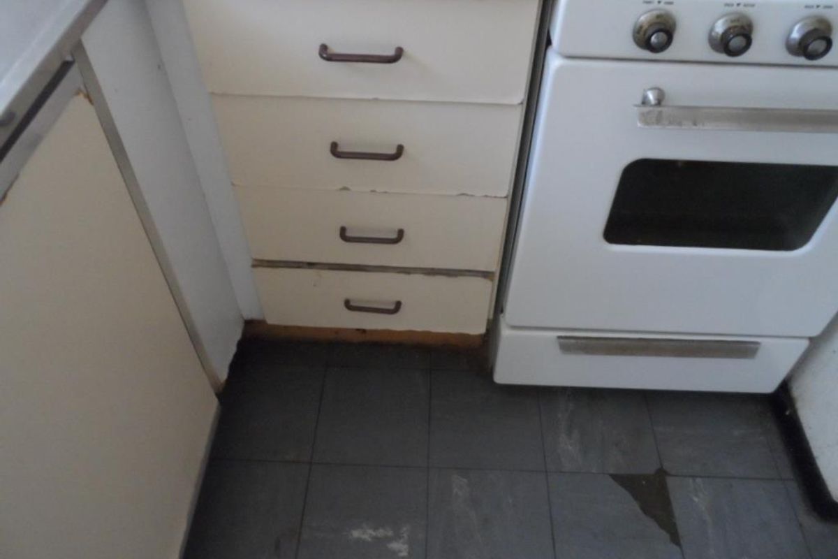 1 BEDROOM FLAT TO RENT IN ARCADIA - Photo 5