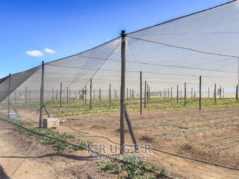 Productive Agricultural Smallholding with Established Income Stream - Photo 2