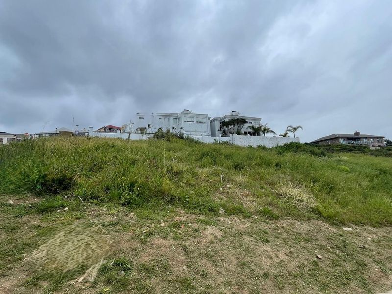 A view of a vacant residential plot with natural grass coverage and a boundary wall, situated in a developed neighborhood.