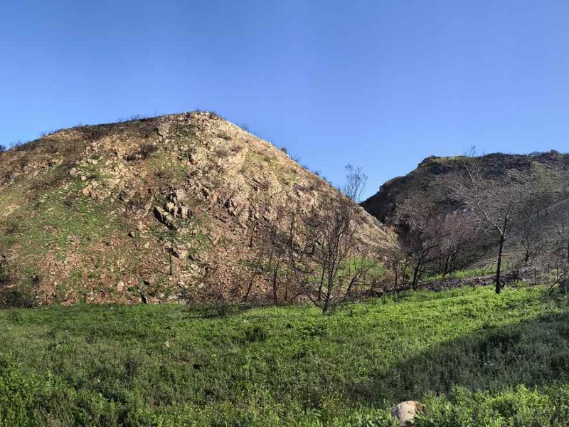 Vacant land for sale in island View - Photo 6