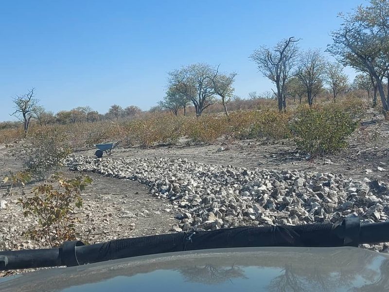 FOR SALE- FARM IN THE TSUMEB/ ETOSHA AREA, NAMIBIA - Photo 9