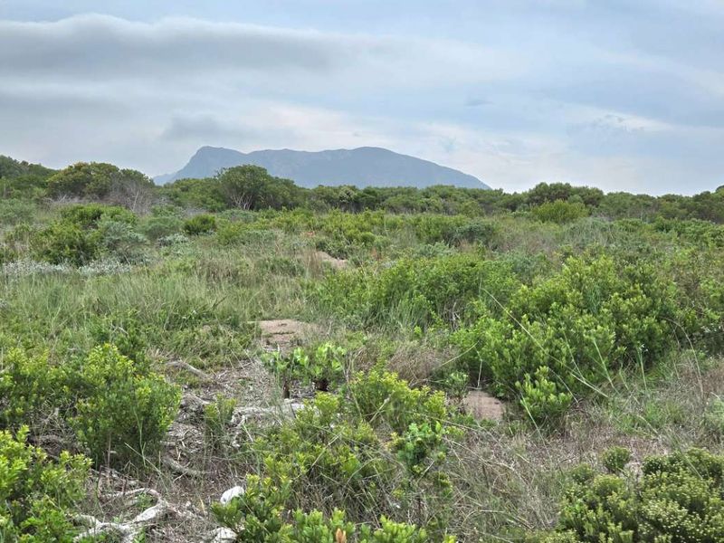 Elevated Stand with Excellent Investment Potential - Photo 9