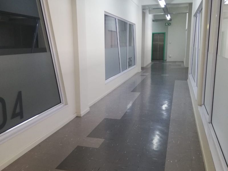 A clean, well-lit office hallway featuring modern vinyl flooring, aluminum-framed glass partitions, and industrial-style overhead lighting.