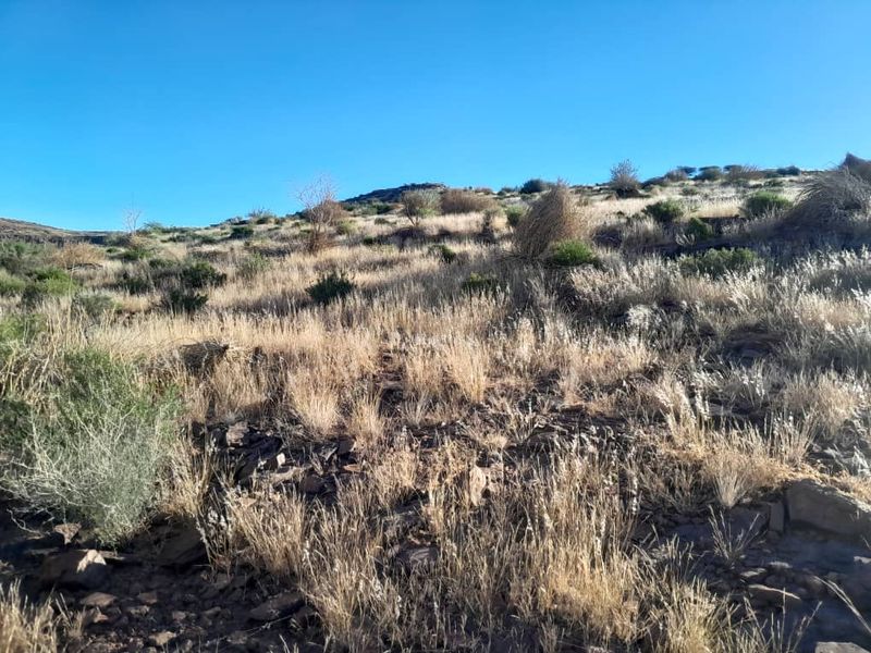 IDEAL LIVESTOCK / HUNTING FARM FOR SALE NEAR KEETMANSHOOP - NAMIBIA - Photo 6