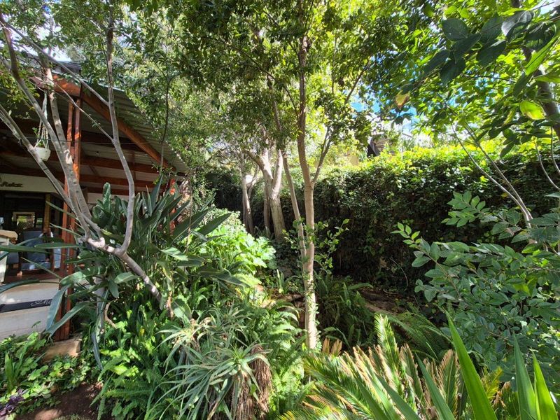 Entertainers's dream home with a Flat and Views for Days - Photo 8