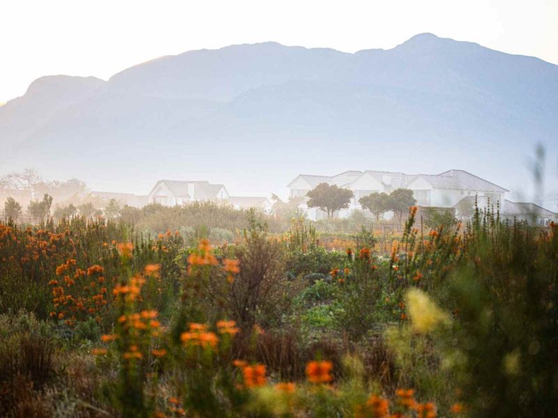Spacious and rare vacant stand in a cul-de-sac available in The Reserve on Val de Vie Estate - Photo 7