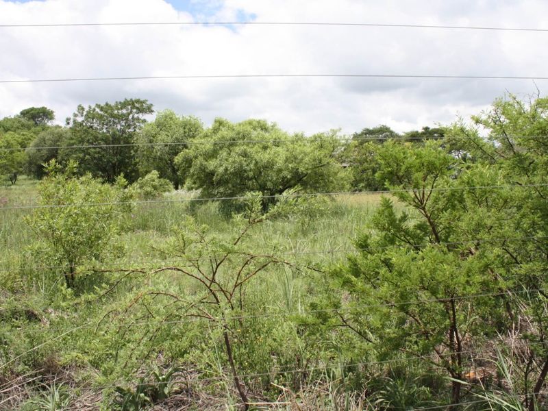 DEVELOPERS, DEVELOPERS !!! - Photo 2