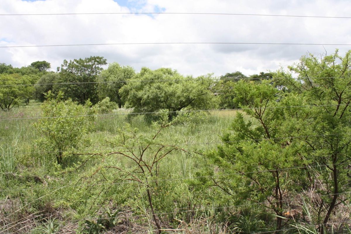 DEVELOPERS, DEVELOPERS !!! - Photo 2