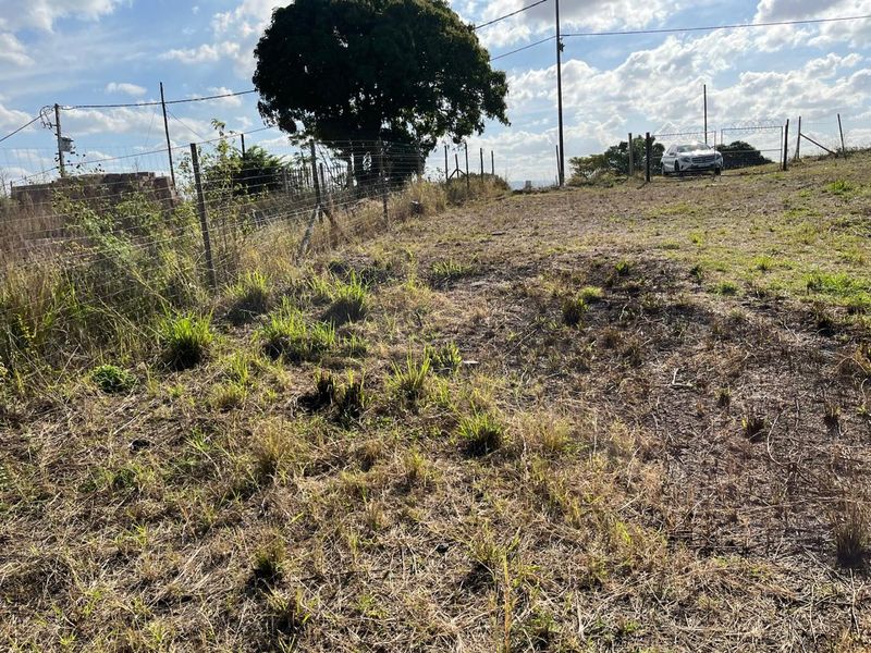 Massive Vacant Land for Sale in Nagina - Photo 5