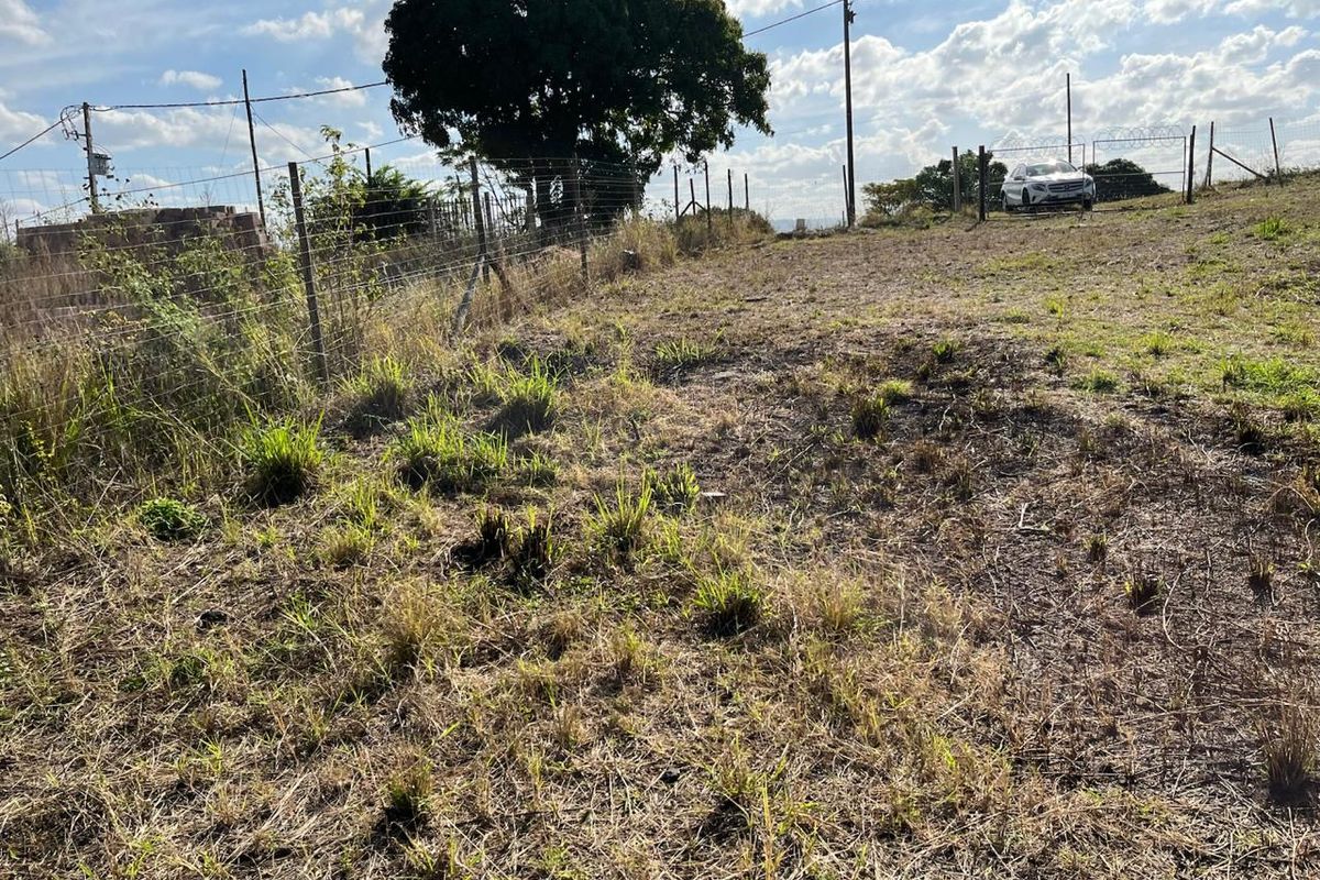 Massive Vacant Land for Sale in Nagina - Photo 5