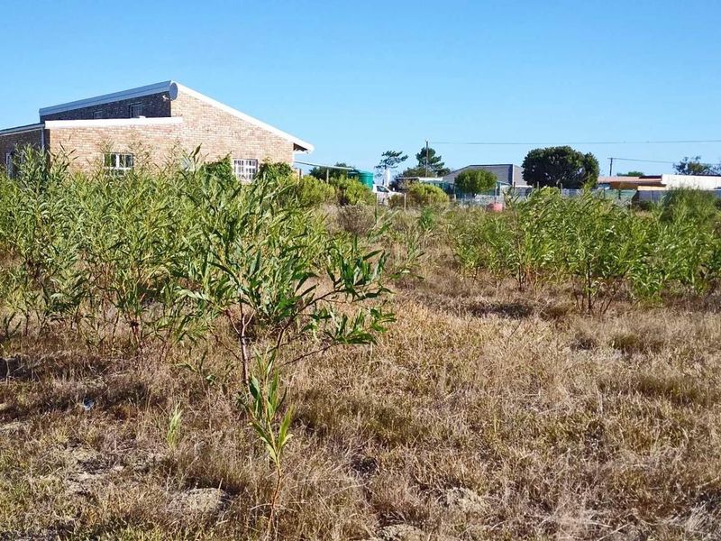 Home is where the herd is... - Photo 4