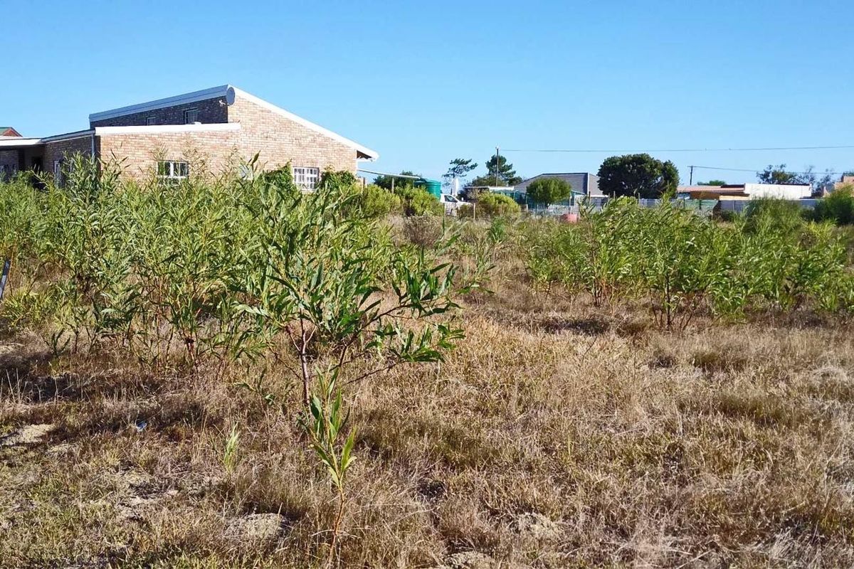 Home is where the herd is... - Photo 4