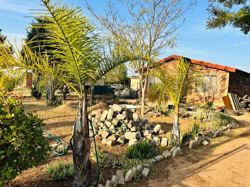 Rear view of a brick house featuring a large garden area with palm trees and visible construction debris on the property grounds.