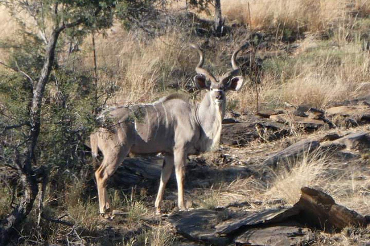 Vacant 13HA undeveloped land for Sale in Daan Viljoen area - Photo 4