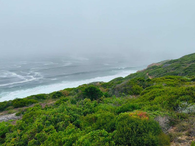 Exclusive Oppertunity - 1813m2 Vacant Land in Paradise Coast Eco Estate - Photo 3