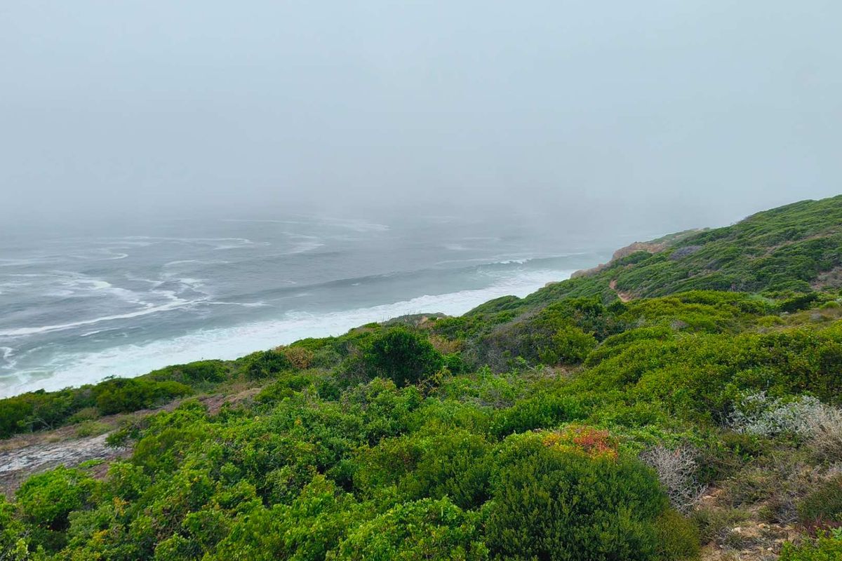 Exclusive Oppertunity - 1813m2 Vacant Land in Paradise Coast Eco Estate - Photo 3